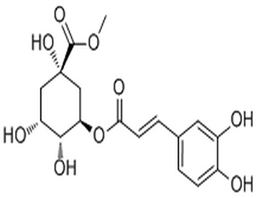 Methyl chlorogenate,Methyl chlorogenate