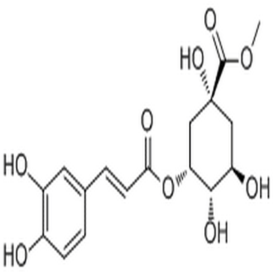 Neochlorogenic acid methyl ester,Neochlorogenic acid methyl ester