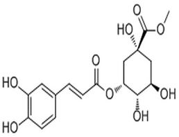 Neochlorogenic acid methyl ester