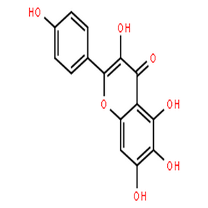 6-羟基山奈酚,3,5,6,7-tetrahydroxy-2-(4-hydroxyphenyl)-4H-chromen-4-one