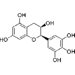 表没食子儿茶素