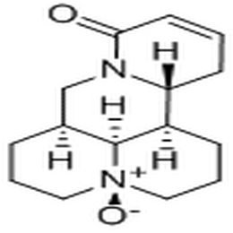 氧化槐果碱