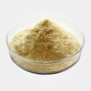 ARA粉(花生四烯酸）,Arochidonic Acid Oil