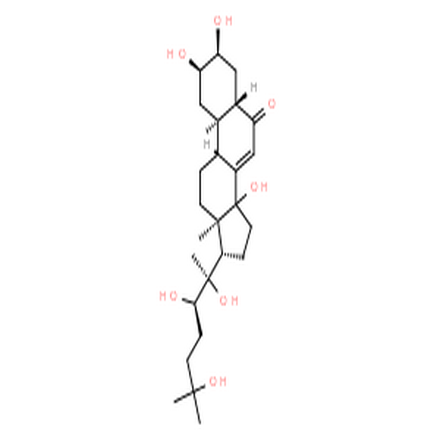 漏芦甾酮 B,Rhapontisterone B