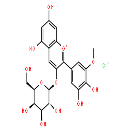 氯化矮牽牛素-3-O-半乳糖苷,1-Benzopyrylium, 2-(3,4-dihydroxy-5-methoxyphenyl)-3-(β-D-galactopyranosyloxy)-5,7-dihydroxy-, chloride (1:1)