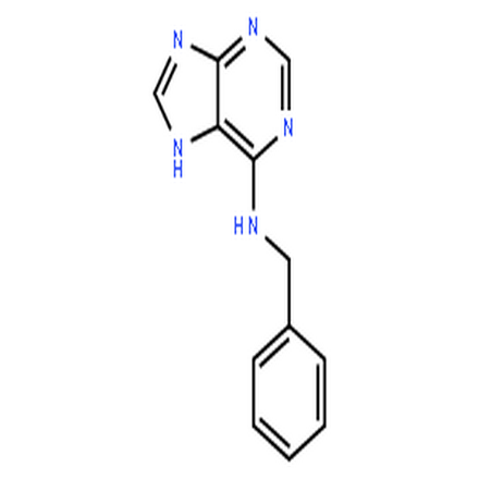 6-芐氨基嘌呤,6-Benzylaminopurine