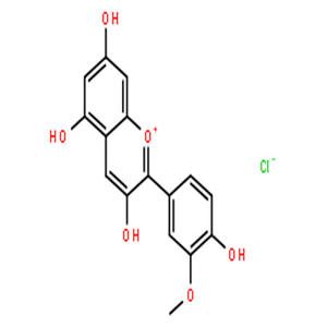 芍药素,1-Benzopyrylium,3,5,7-trihydroxy-2-(4-hydroxy-3-methoxyphenyl)-, chloride (1:1)