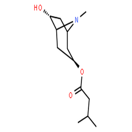 戊茄碱,Butanoic acid,3-methyl-, (1S,3R,5S,6R)-6-hydroxy-8-methyl-8-azabicyclo[3.2.1]oct-3-yl ester