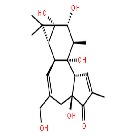 佛波醇,5H-Cyclopropa[3,4]benz[1,2-e]azulen-5-one,1,1a,1b,4,4a,7a,7b,8,9,9a-decahydro-4a,7b,9,9a-tetrahydroxy-3-(hydroxymethyl)-1,1,6,8-tetramethyl-,(1aR,1bS,4aR,7aS,7bS,8R,9R,9aS)-