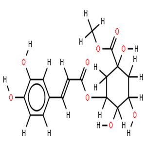 3-咖啡酰奎尼酸甲酯,3-caffeoylquinic acid methyl ester