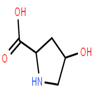 L-羟脯氨酸