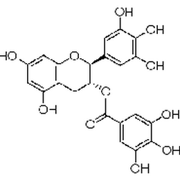 沒(méi)食子酸兒茶素沒(méi)食子酸酯