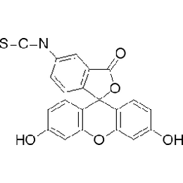 异硫氰酸荧光素(FITC-I)