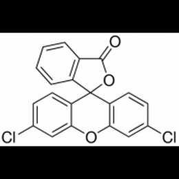 氯化熒光素[胺類用試劑]