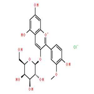 氯化芍药素-3-O-半乳糖苷