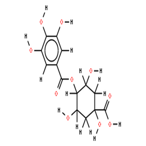 4-没食子酰基奎宁酸,4-galloylquinic acid