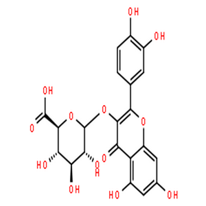 槲皮素3-O-葡萄糖酸苷