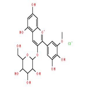 氯化矮牵牛素-3-O-葡萄糖苷,1-Benzopyrylium,2-(3,4-dihydroxy-5-methoxyphenyl)-3-(b-D-glucopyranosyloxy)-5,7-dihydroxy-, chloride (1:1)