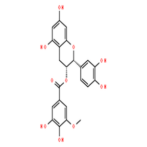 表儿茶素3-O-(3''-O-甲基)没食子酸酯