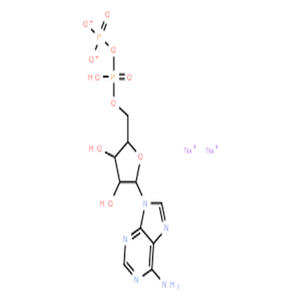 5-腺苷二磷酸二钠盐,Sodium ((2R,3S,4R,5R)-5-(6-amino-9H-purin-9-yl)-3,4-dihydroxytetrahydrofuran-2-yl)methyl hydrogendiphosphate