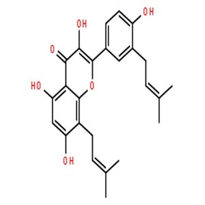 楮树黄酮醇F,4H-1-Benzopyran-4-one,3,5,7-trihydroxy-2-[4-hydroxy-3-(3-methyl-2-buten-1-yl)phenyl]-8-(3-methyl-2-buten-1-yl)-