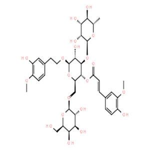 焦地黄苯乙醇甙B1,b-D-Glucopyranoside,2-(3-hydroxy-4-methoxyphenyl)ethyl O-6-deoxy-a-L-mannopyranosyl-(1?3)-O-[b-D-galactopyranosyl-(1?6)]-, 4-[(2E)-3-(4-hydroxy-3-methoxyphenyl)-2-propenoate]