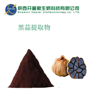 黑蒜提取物,Black Garlic Extract
