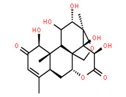 鸦胆子素 D,bruceine D