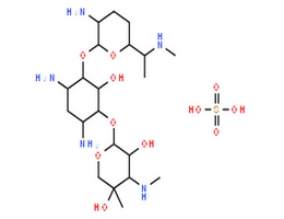 庆大霉素硫酸盐,Gentamycin Solution