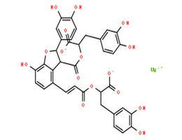 丹参酸B 镁盐,Monomethyl lithospermate B