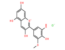 矮牵牛色素,1-Benzopyrylium,2-(3,4-dihydroxy-5-methoxyphenyl)-3,5,7-trihydroxy-, chloride (1:1)