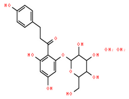 弗罗利辛,phlorizin dihydrate