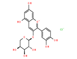 氯化矢车菊素-3-O-阿拉伯糖苷,3-alpha-L-Arabinopyranosyloxy-2-(3,4-dihydroxy-phenyl)-5,7-dihydroxy-chromenylium; Chlorid