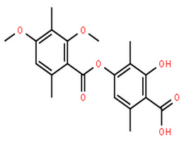 地弗地衣酸,Benzoic acid,2,4-dimethoxy-3,6-dimethyl-, 4-carboxy-3-hydroxy-2,5-dimethylphenyl ester