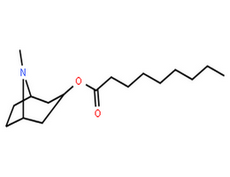 托品醇壬酸酯,Nonanoic acid,8-methyl-8-azabicyclo[3.2.1]oct-3-yl ester, endo- (9CI)