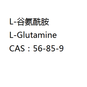 L-谷氨酰胺,L-Glutamine