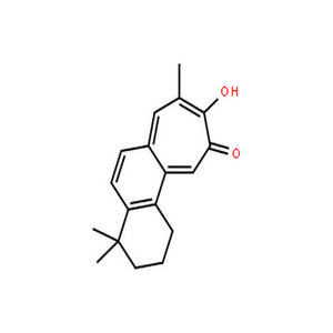 鼠尾草酚酮,9H-Cyclohepta[a]naphthalen-9-one,1,2,3,4-tetrahydro-10-hydroxy-4,4,8-trimethyl-