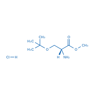 (R)-2-氨基-3-(叔丁氧基)丙酸甲酯盐酸盐