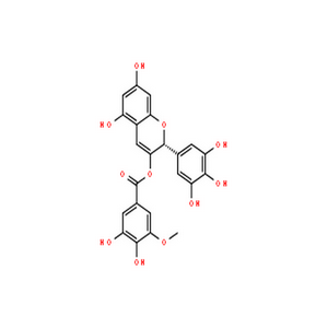 表没食子儿茶素3-O-(3''-O-甲基)没食子酸酯