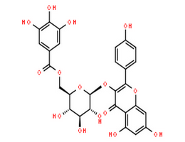 山奈酚 3-O-(6''-沒食子?；?-beta-D-吡喃葡萄糖苷,4H-1-Benzopyran-4-one,5,7-dihydroxy-2-(4-hydroxyphenyl)-3-[[6-O-(3,4,5-trihydroxybenzoyl)-b-D-glucopyranosyl]oxy]-