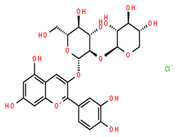 氯化失车菊素-3-O-桑布双糖苷,1-Benzopyrylium,2-(3,4-dihydroxyphenyl)-5,7-dihydroxy-3-[(2-O-b-D-xylopyranosyl-b-D-glucopyranosyl)oxy]-, chloride (1:1)