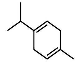 γ-萜品烯,4-Isopropyl-1-methyl-1,4-cyclohexadiene