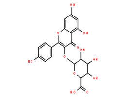 山奈酚葡萄糖醛酸苷,b-D-Glucopyranosiduronic acid,5,7-dihydroxy-2-(4-hydroxyphenyl)-4-oxo-4H-1-benzopyran-3-yl