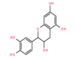 (+/-)-儿茶精,2-(3,4-Dihydroxyphenyl)chroman-3,5,7-triol