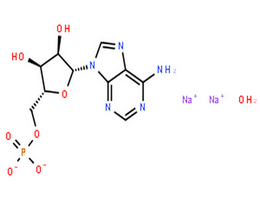 5-腺苷一磷酸二钠盐,Adenosine 5'-monophosphate disodium salt