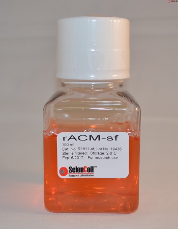 大鼠星形胶质细胞条件培养基-无血清RACM-SF
