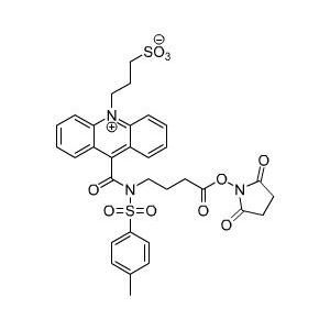 吖啶酯,3-[9-(((3-(N-succiniMidyloxycarboxypropyl)[4-Methxylphenyl]sulfonyl)aMine)carboxyl]-10-acridiniuMyl)-1-propanesulfonate inner salt (NSP-SA-NHS)