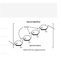 半纤维素酶,Hemicellulase