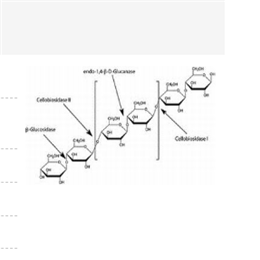 β-葡萄糖苷酶,β-Glucosidase from almonds