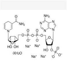 还原辅酶Ⅱ四钠盐,β-NADPH